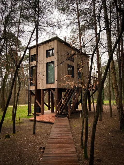 Tree Houses Olszanka - Domki na drzewie