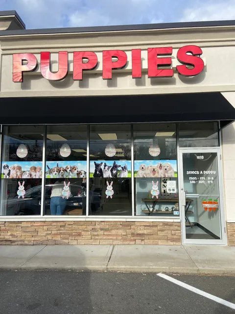 Select A Puppy, Inc.