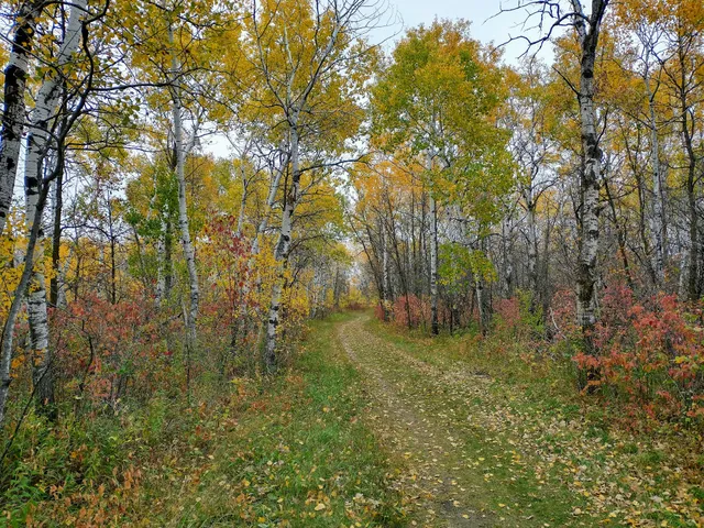 Birds Hill Provincial Park