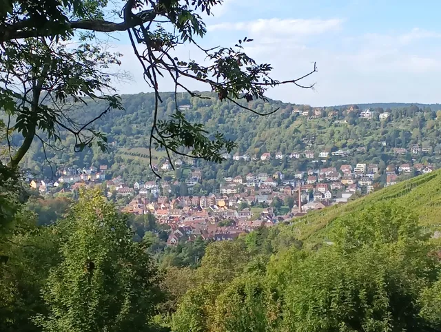 Aussichtspunkt Leonorenstraße