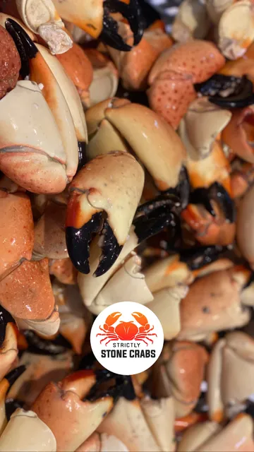 Strictly Stone Crabs
