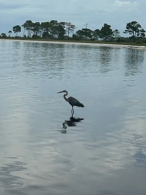 Heron pond hike trail