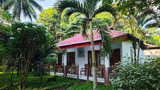 Tangkoko jungle homestay (real point)