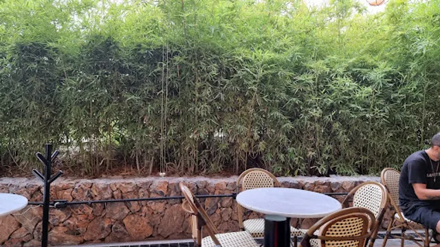 Mille Delices La Luz