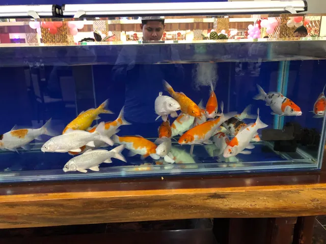 Mini BBQ សាច់អាំងទឹកកាពិ ផ្សារ​ដី​ហុយ​