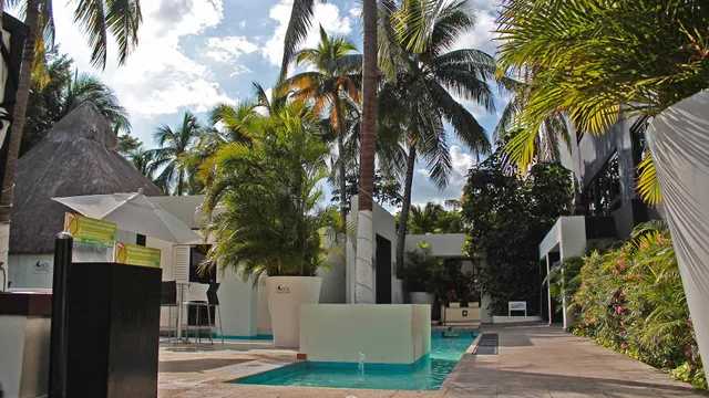 Oh! Cancun The Urban Oasis