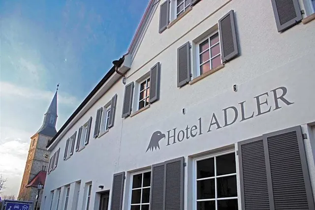 Hotel Adler Bad Friedrichshall