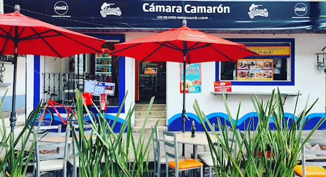 Cámara Camarón