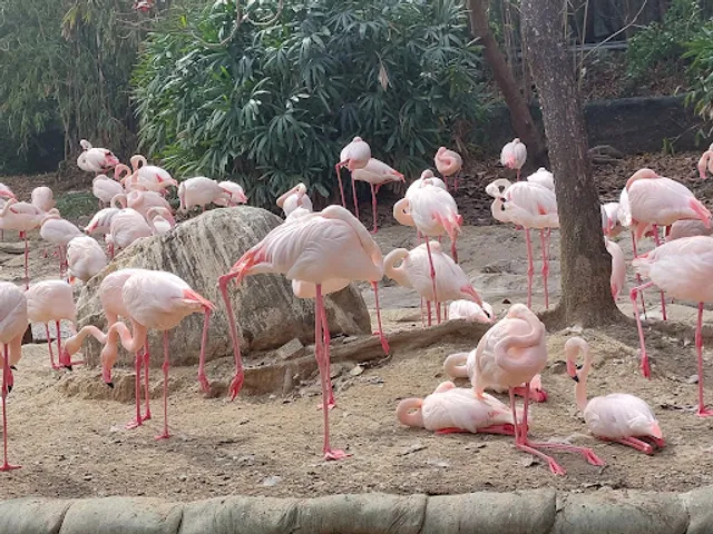 頑皮世界野生動物園 (Wanpi World Zoo)