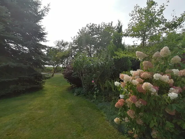 Ferienwohnung Zum Regenbogen