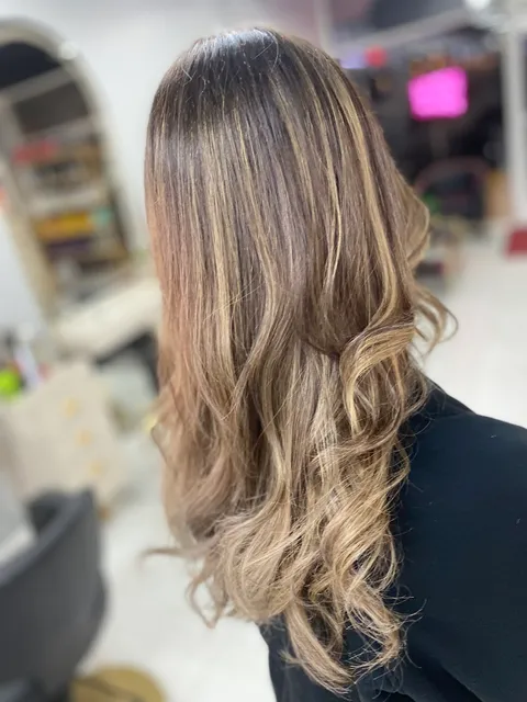 Evoque Concept Salon