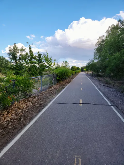 Paseo del Bosque Trail: Alameda Trailhead