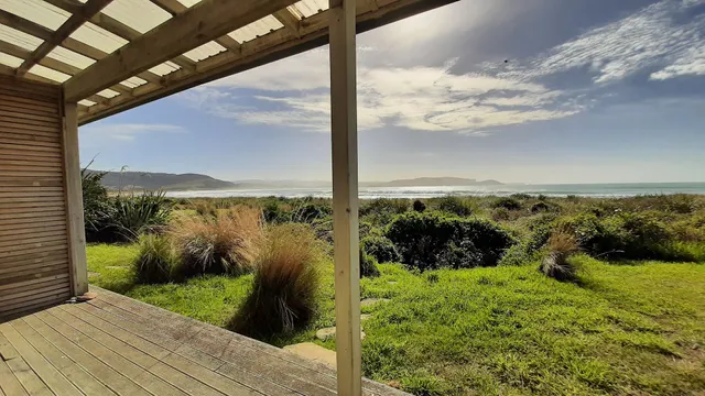 Curio Bay Accommodation