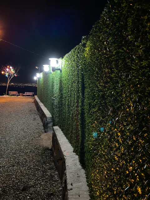 Sapanca Erl Tree Bungalov