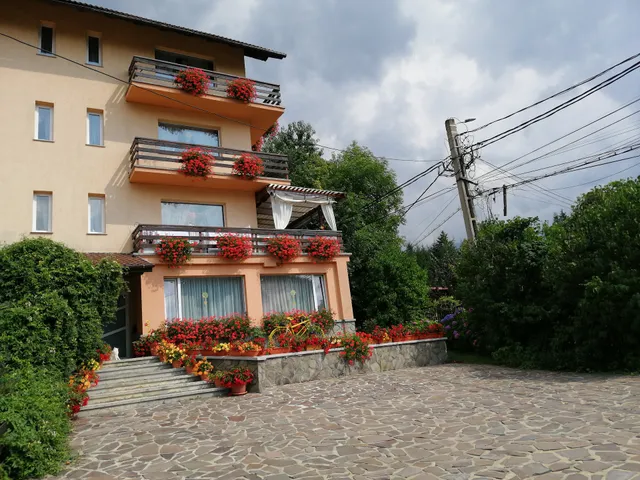 Transilvania Lodge Bran