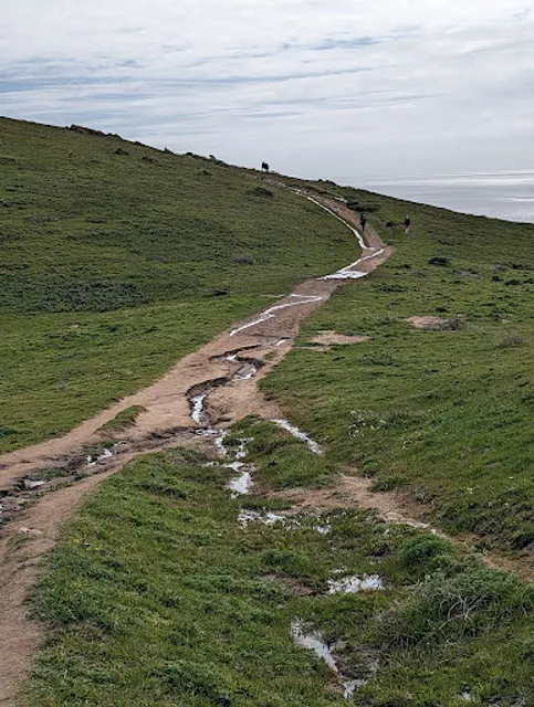 Tomales Point Trail