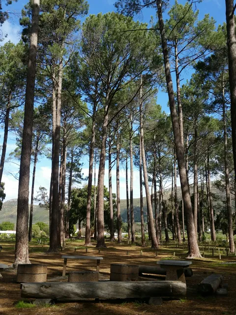 Tokai Forest Braai And Picnic Area