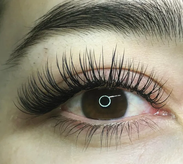 LashSpot SF