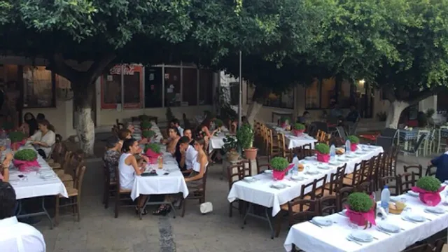 Koula's Tastes (Οι Γεύσεις της Κυρά Κούλας)