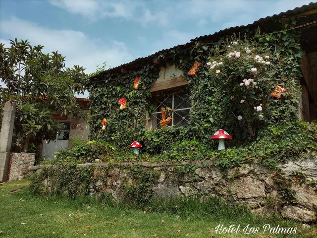 Hotel Las Palmas By GEstores