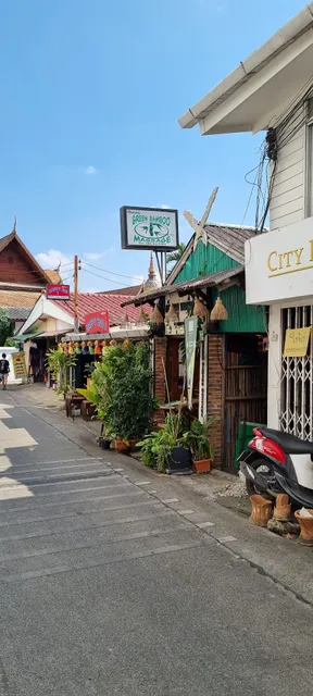 Green Bamboo Massage