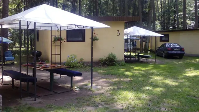 Ladybug. Summer houses.