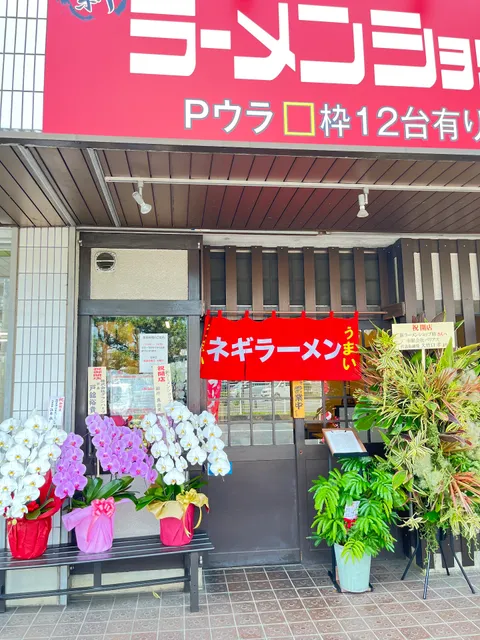 新ラーメンショップ 晴