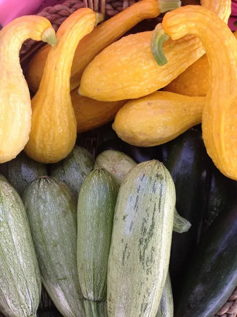 Los Lunas Tuesday Night Farmer's Market