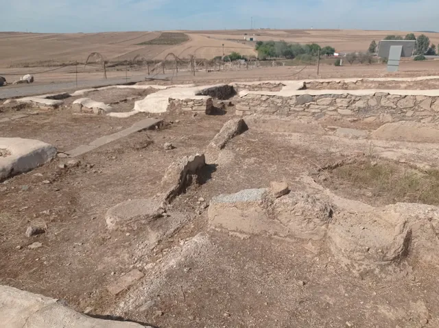 Medina de las Torres