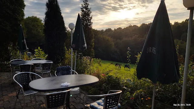 Blue Elephant / Blauer Elefant