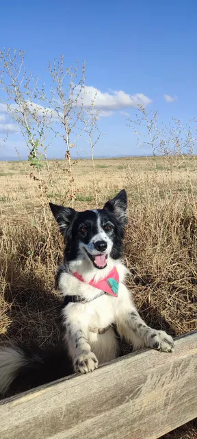 Casa Rural, El Rincón de Fernando
