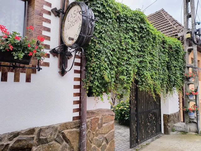 Casa de Vacanta Vidrighin