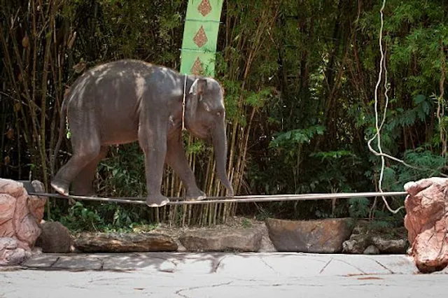 Safari World Bangkok