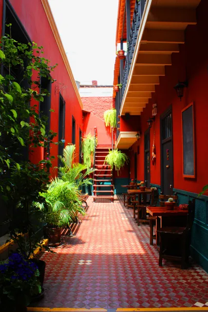 Kaclla, The Healing Dog Hostel