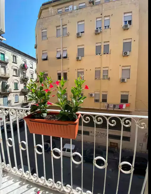 SummerHome Central Station