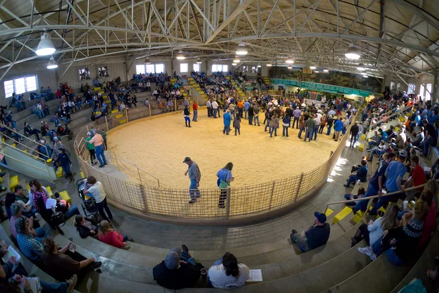 Polk County Youth Fair Inc.