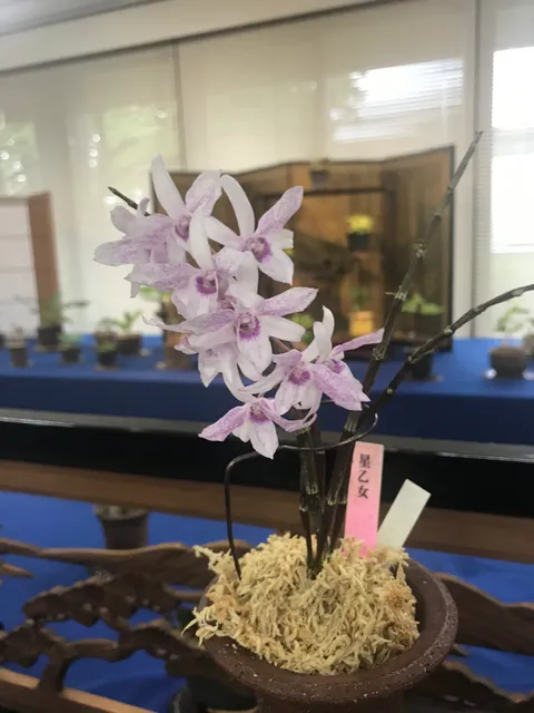 Kokusai Koryu Center