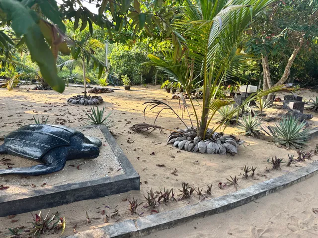 Wildlife Turtle Project Kapuhenwala