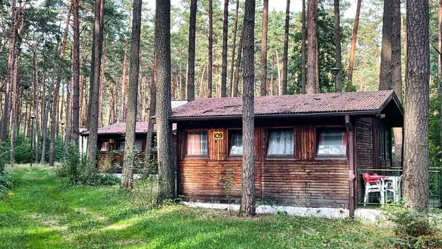 Summer Camps and Holiday Center WHITE