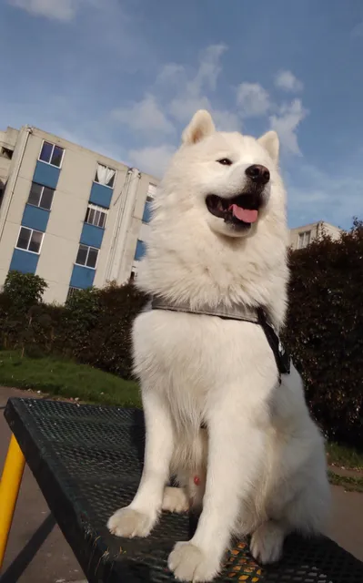 PUBLICO EL LUJAN Park