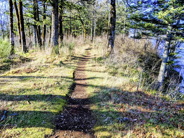 Cascade Locks Disc Golf Course
