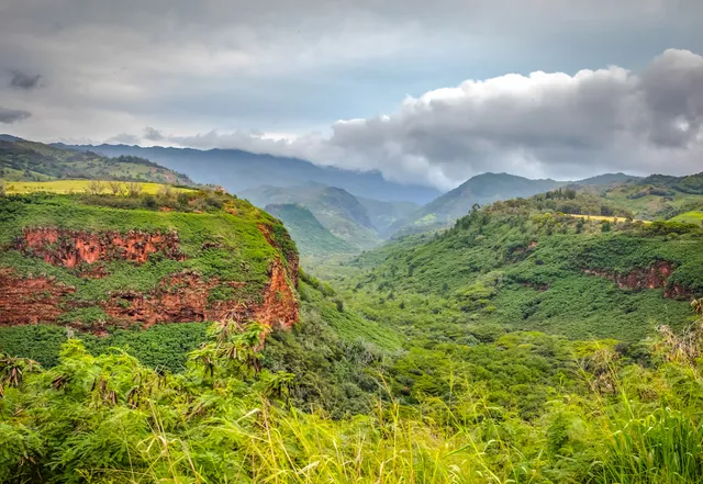 Hanapepe Valley Lookout