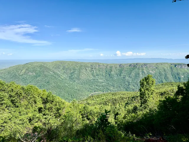 Pisgah National Forest