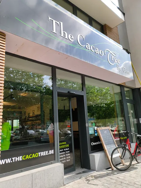 The Cacao Tree Saint Job