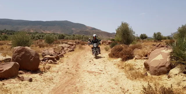 Desert Rats Tours : Explore Morocco on Two Wheels