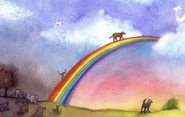 Pet Memorial Parks-Pet Cemetery