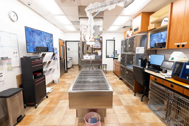 PetSmart Veterinary Services - Mayaguez