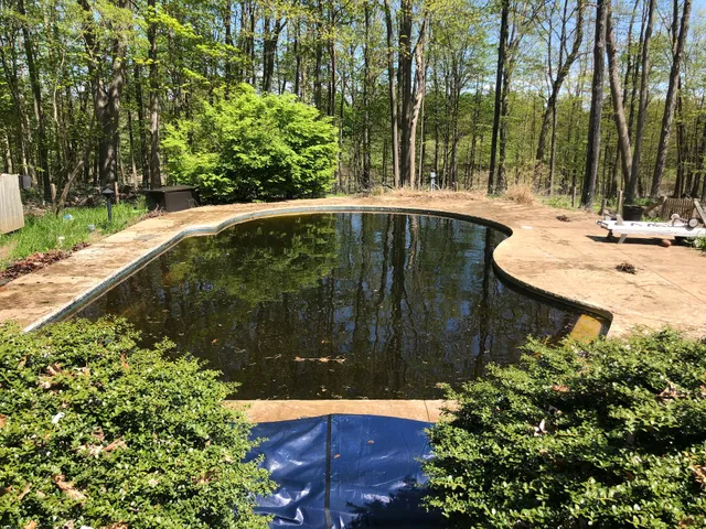 Blue Bear Pool Solutions