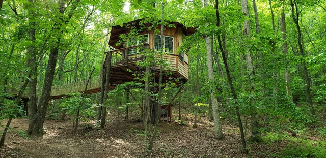 Treehouse Mountain