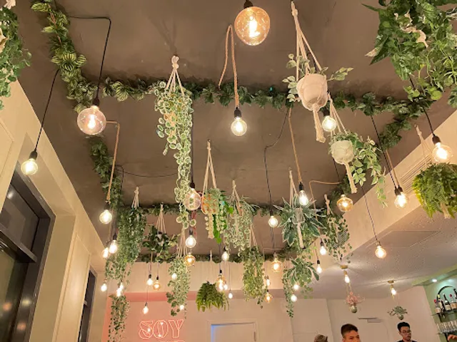 Soy Club Vegan Restaurant
